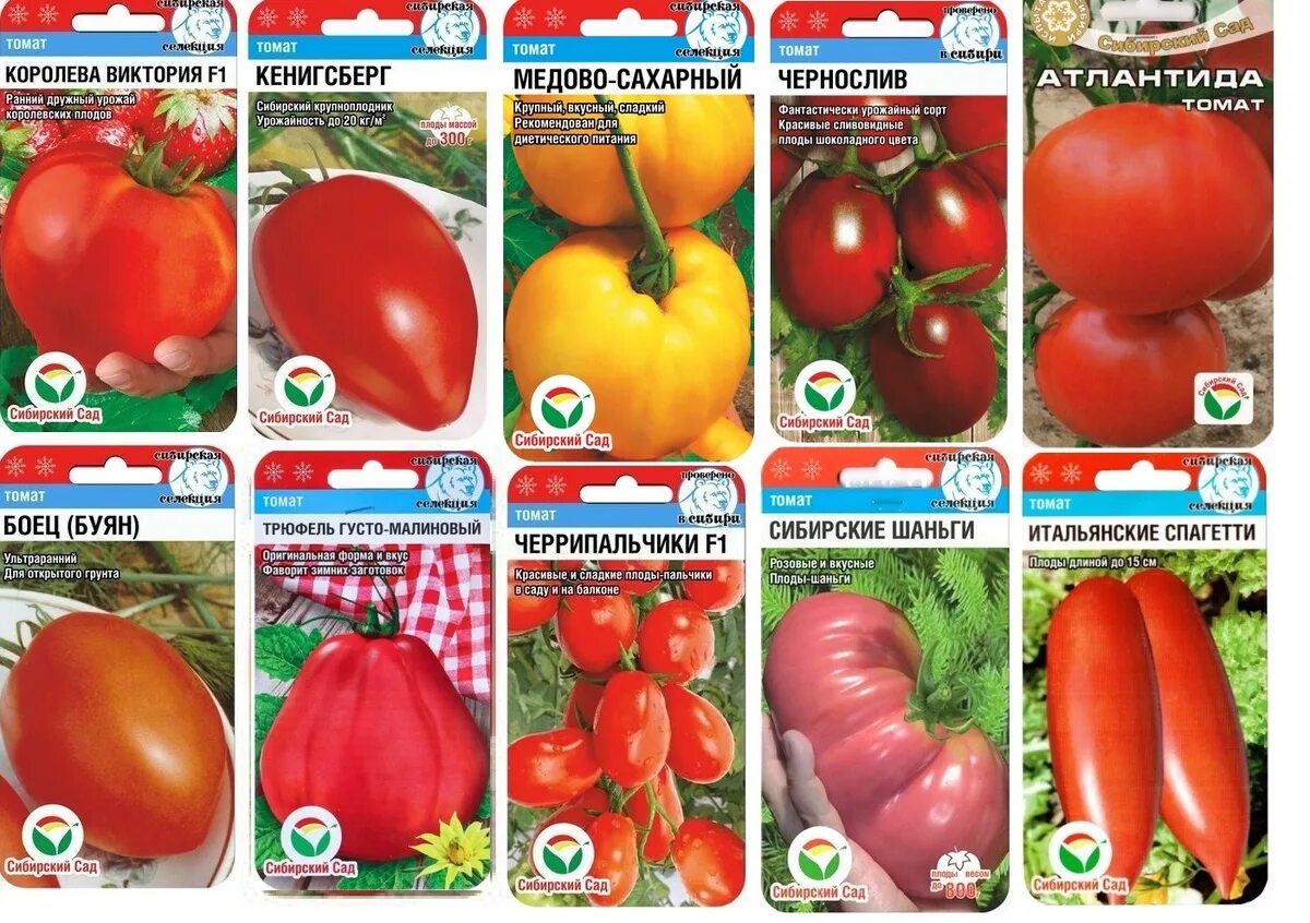 семена редиса сиб сад. томаты фирмы сибирский сад семена. томаты фирмы сибирский сад семена. сибирь сад семена. сорт нестрелкующегося редиса фирмы, сибсад.