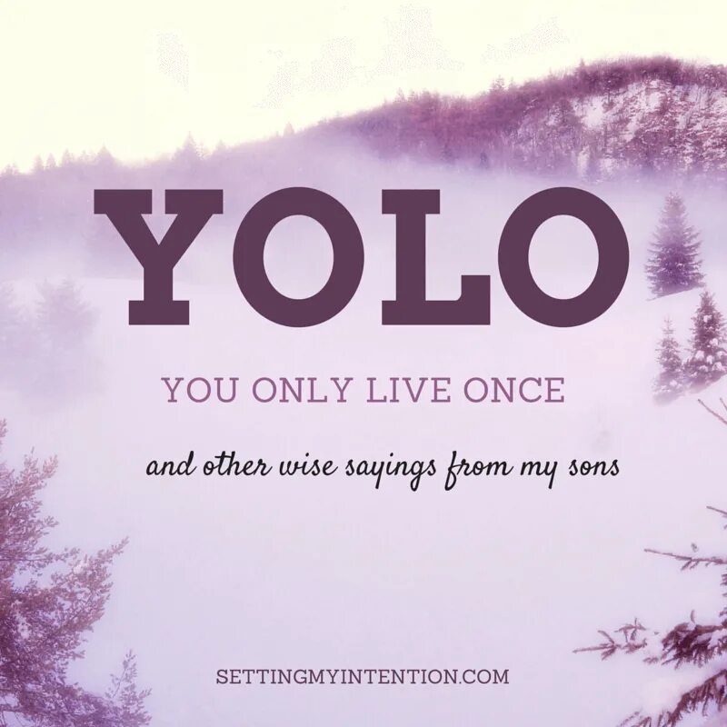 You only Live once. (You only look once) логотип. Yolo: you only Live once. Live once 2