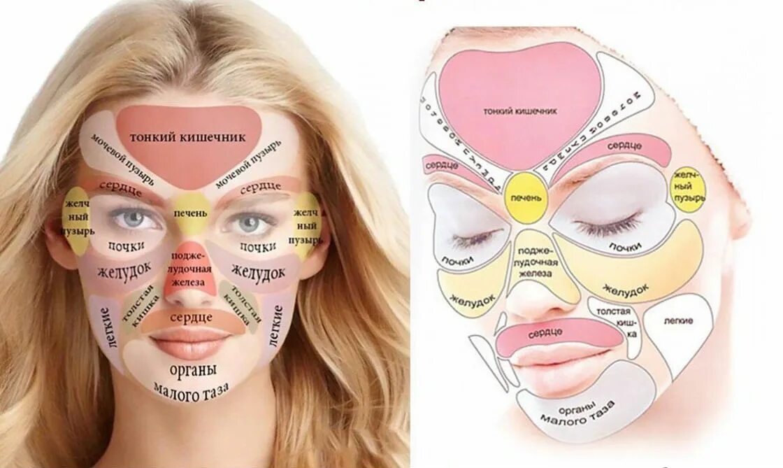 Прыщи на лице по зонам причины. Зоны прыщей на лице и органы. Карта прыщей на лице у женщин. Зоны прыщей на лице.