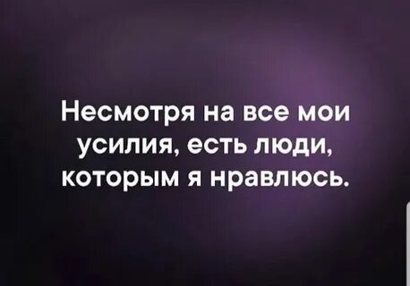 Не смотря на высокое качество