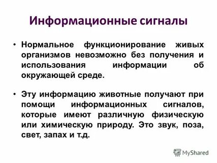 Как называется информационное содержание