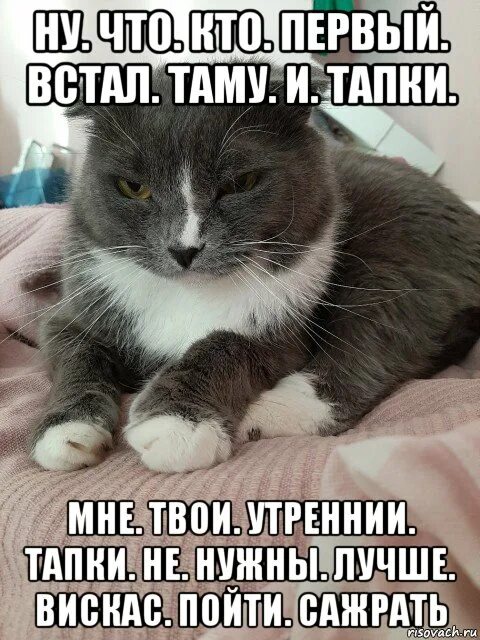 Впервые встала
