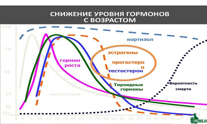 Изменение уровня гормонов с возрастом. Снижение гормонов с возрастом. Возрастные изменения гормонального фона. Гормональные изменения Возраст.