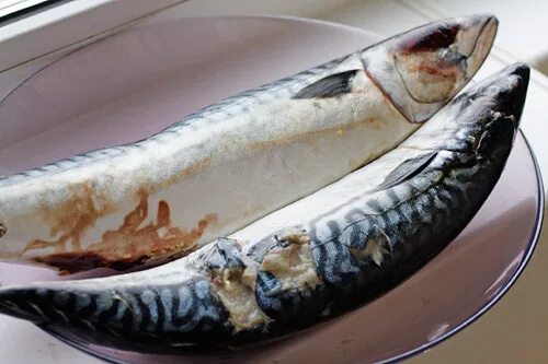 Как понять что соленая рыба испортилась. Дефекты охлажденной рыбы