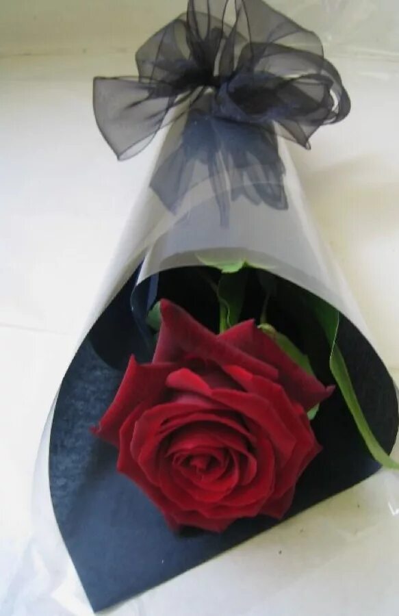 Розы в упаковке как сохранить. Розы в красивой упаковке. Упаковка роз в прозрачную пленку. Красиво упаковать розы.