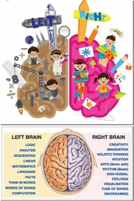Leave the brain. Мозг плакат для дошкольников. Brain for Learning. Brain Kids. Train your Brain for Kids.