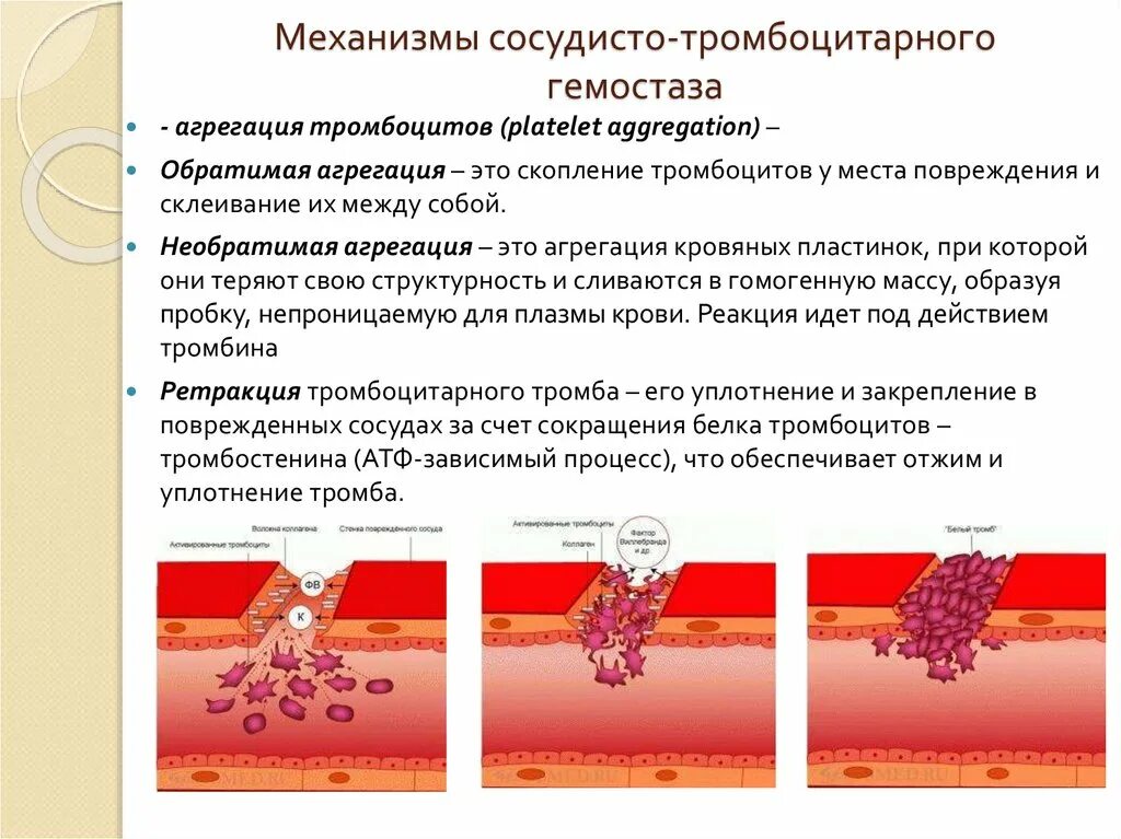 Склеивание крови. Механизм сосудисто тромбоциты гемостаз. Сосудисто-тромбоцитарный гемостаз механизм. Механизмы адгезии и агрегации тромбоцитов.. Обратимая и необратимая агрегация тромбоцитов.