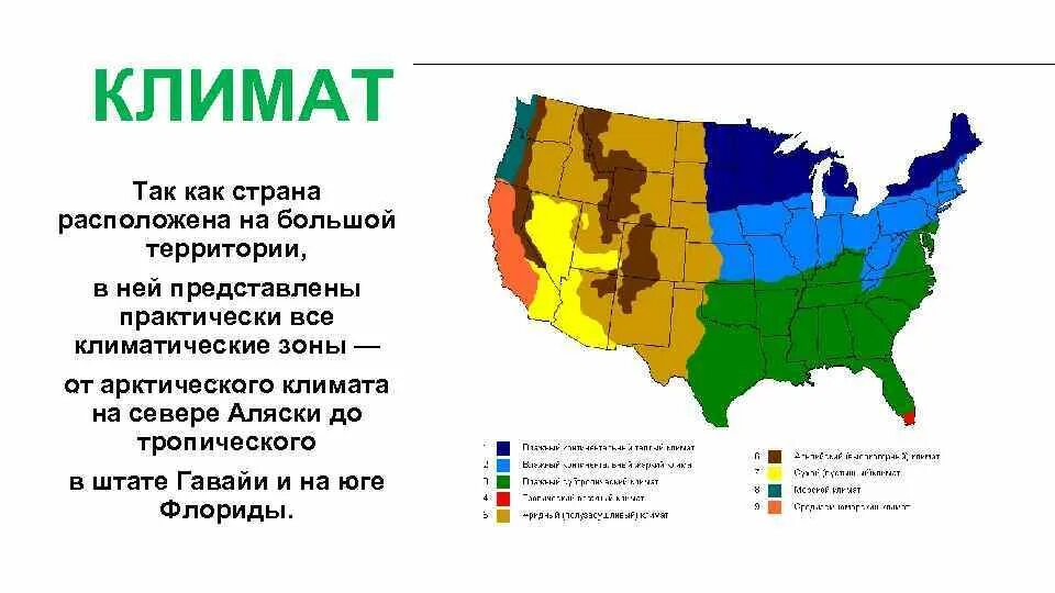 Северная америка занимает климатический пояс. Климатические зоны США карта. Климатическая карта США. Климатическая карта США со Штатами. Климат в США по Штатам таблица.