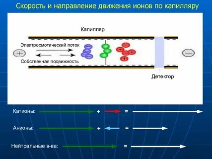 Капиллярный электрофорез
