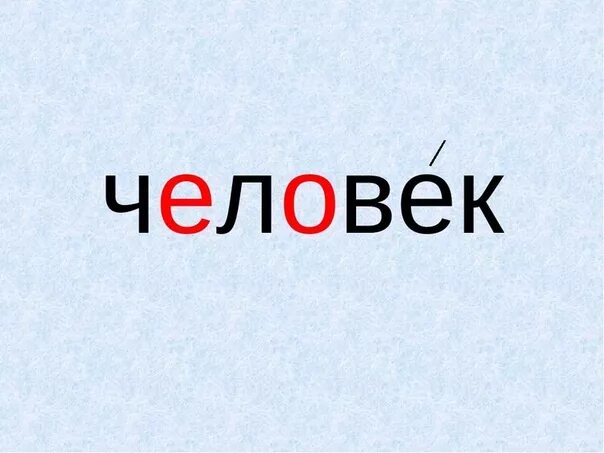 Слово в названиях крупных. Слово о человеке. Человек словарное слово. Словарное слово девочка. Слово.