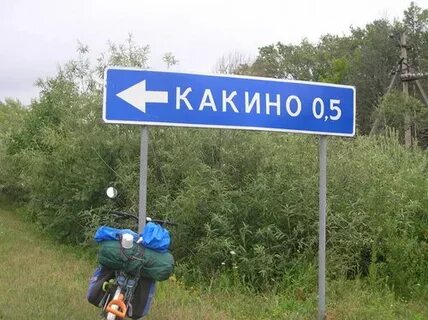 Погода в какино