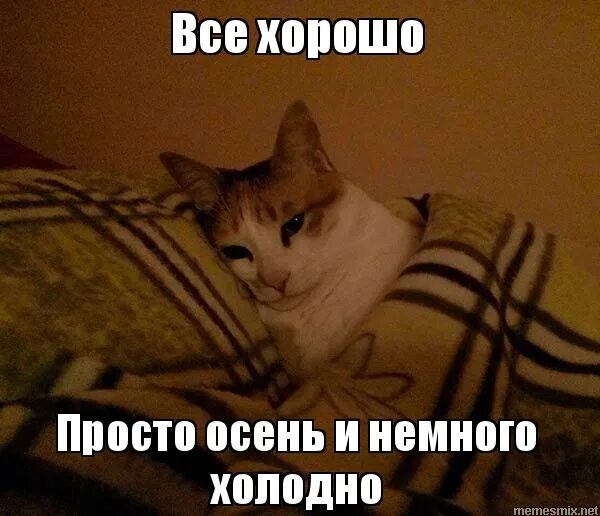 Спит под одеялом. Ночь карикатура. Мемы про одеяло. Цитаты про одеяло. Жарко холодно идеально.