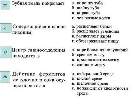 Ферменты тест биология