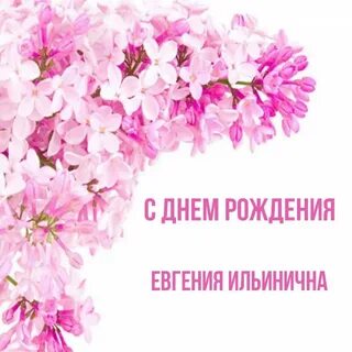 С днем рождения ильинична