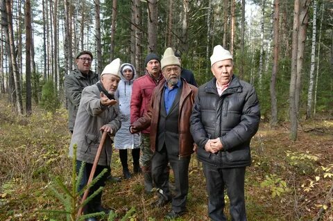 Заповедник большая кокшага республики марий эл