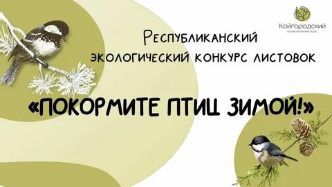 Акция покормите птиц зимой 2024