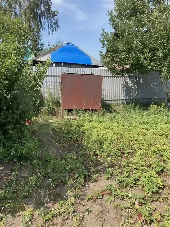 Снт даниловское южное тольятти. 103 участок тольятти. Даниловский южный тольятти снт расположение. 103 участок тольятти. 103 участок тольятти.