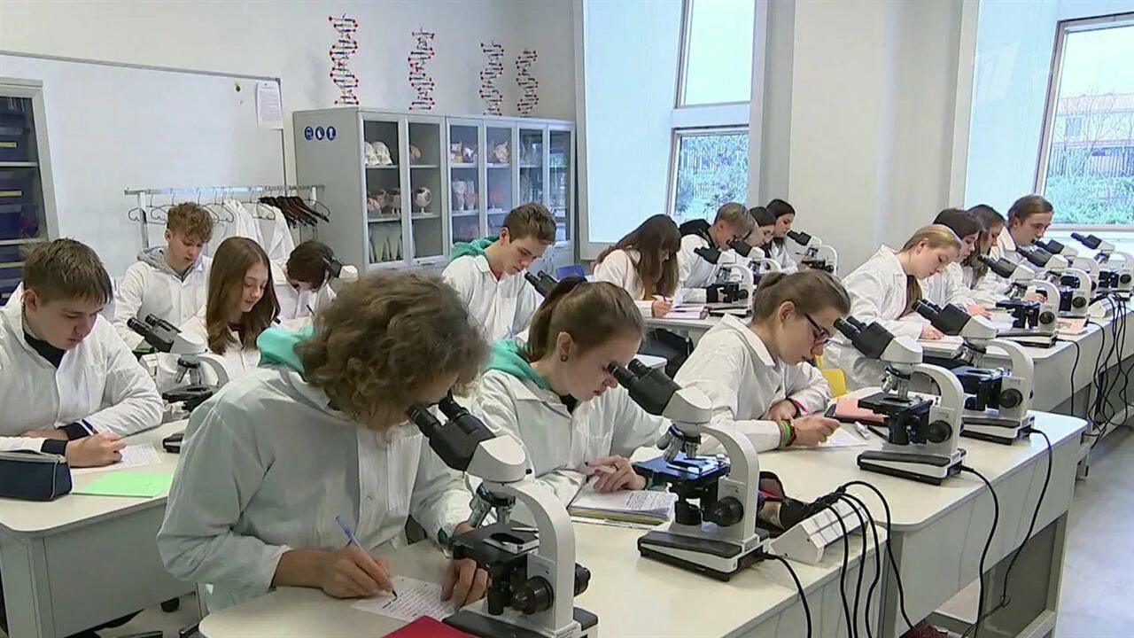 Сириус всош 11 класс. Сириус сочи лаборатории. сириус сочи образовательный центр лаборатории. всероссийская олимпиада школьников сириус 2025. сириус лаборатории биология.