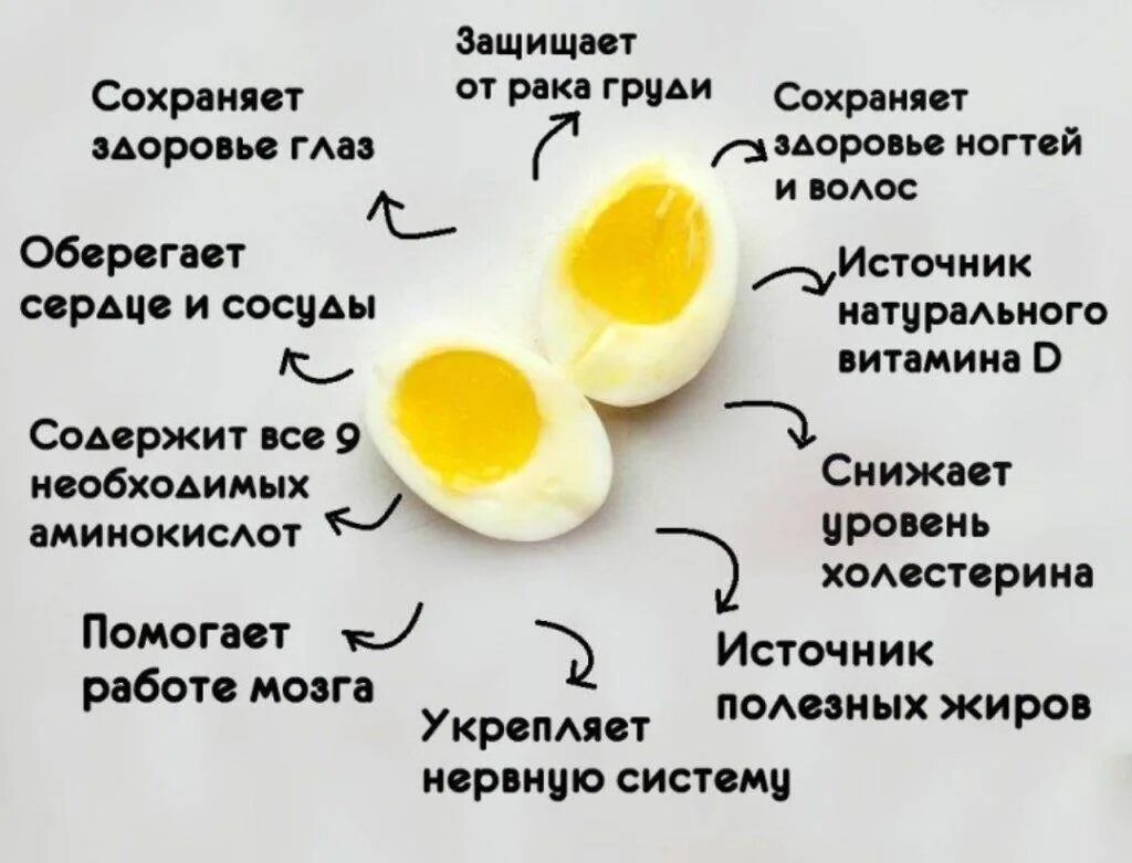 Сколько пить яйца. Чем полезно яйцо. Что полезного в яйцах куриных. Чем полезны яйца. Чем полезны яйца куриные.