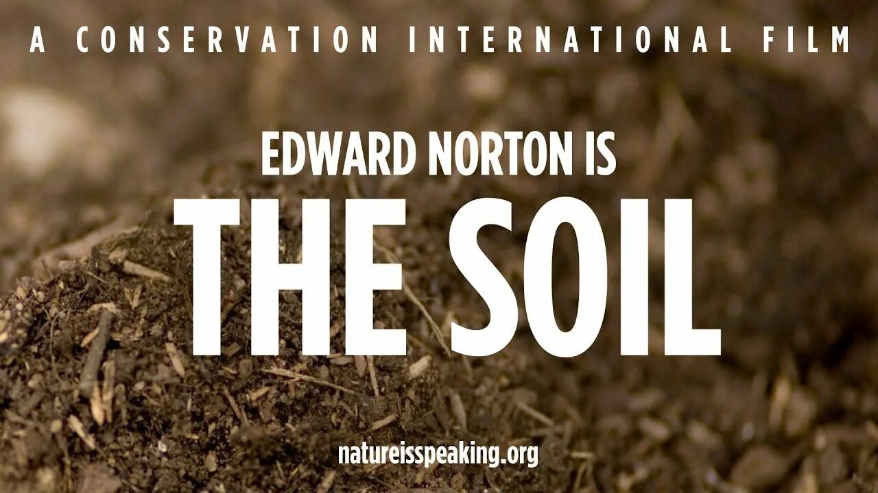 Nature is speaking. A conservation international film. a conservation international film текст. conservation international’s project nature is speaking.