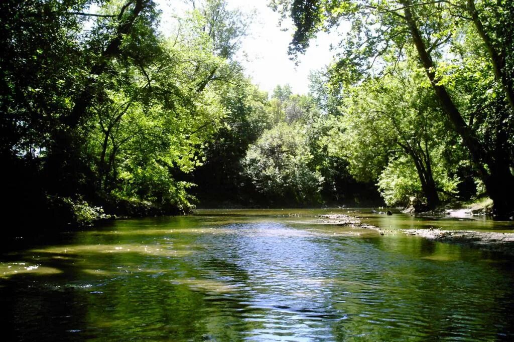 Девочка может ножки в ручье. К чему снится чистая вода во сне. Сон речка чистая вода. Прозрачная река во сне. Сон чистая река разделенная.