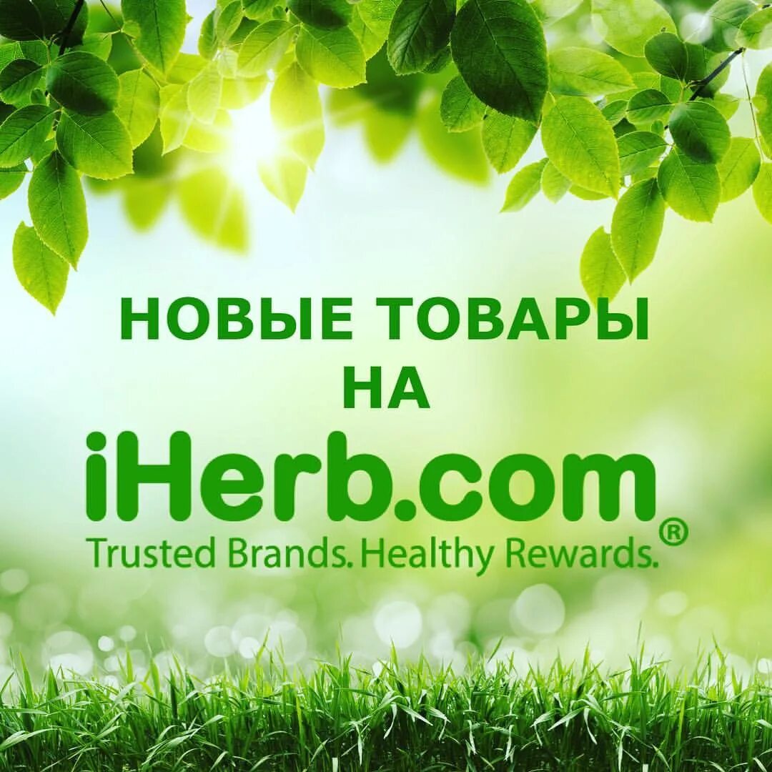 Https ru iherb com. IHERB. Айхерб логотип. IHERB реклама. Визитки айхерб.