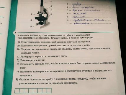 Установите правильную последовательность ограничения