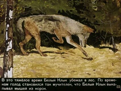 Автор написавший про белого клыка 6
