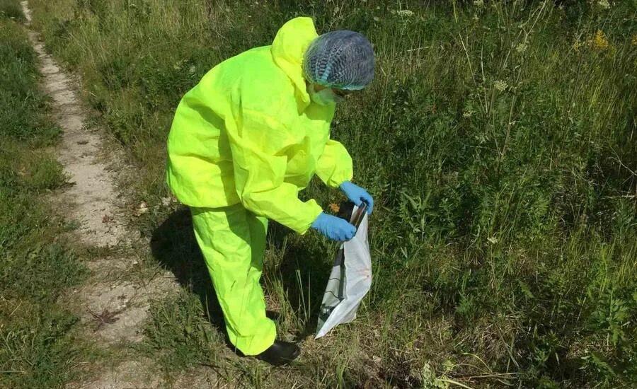 В скотомогильниках бактерии очень опасного заболевания. Бесхозные скотомогильники. Биологические отходы трупы животных. Скотомогильники Ульяновск.