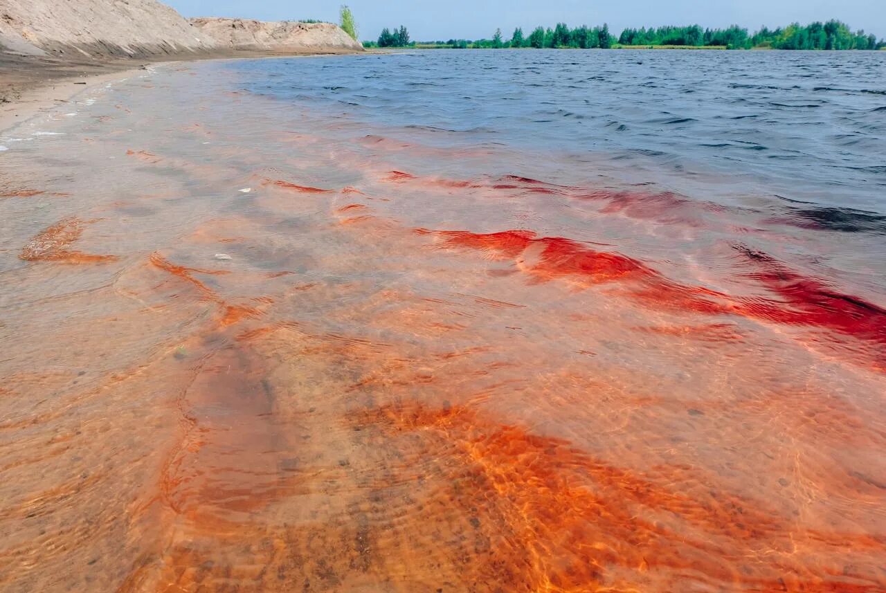 Кондуки красное озеро красное. Красные озера Тульская область. Красное озеро Хакасия. Красное озеро Карасук. Есть красное озеро