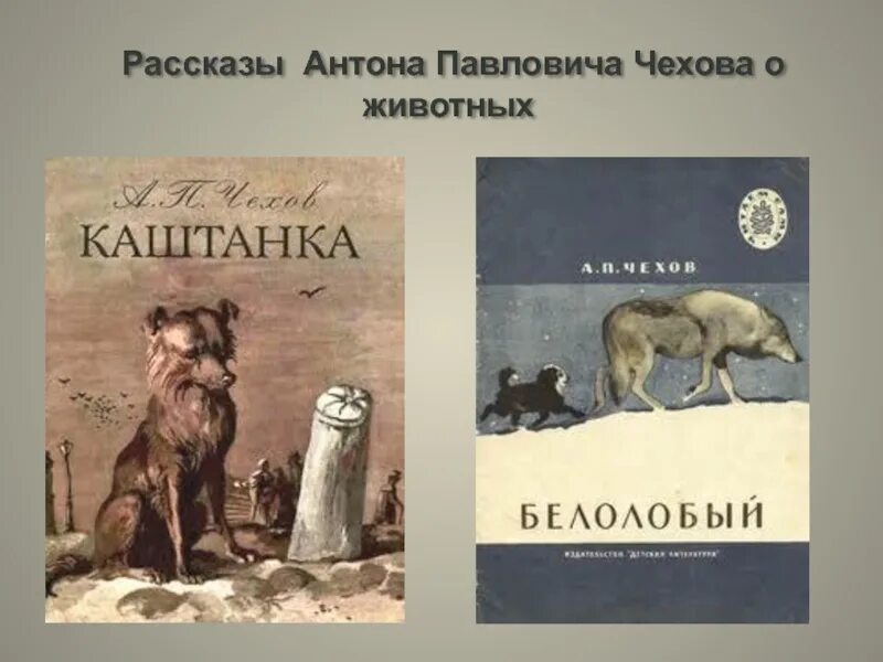 Произведения а п Чехова. Рассказы (а.Чехов). Рассказы Чехова о животных. Рассказы Антона Павловича Чехова. А п чехов рассказы список