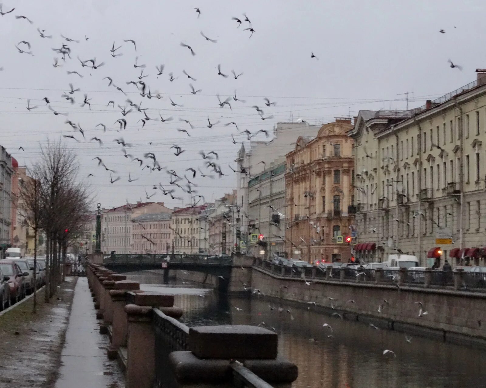 Спб в декабре. Питер в декабре. Питер в начале декабря. Петербург декабрь утро. Декабрьское утро в Петербурге.