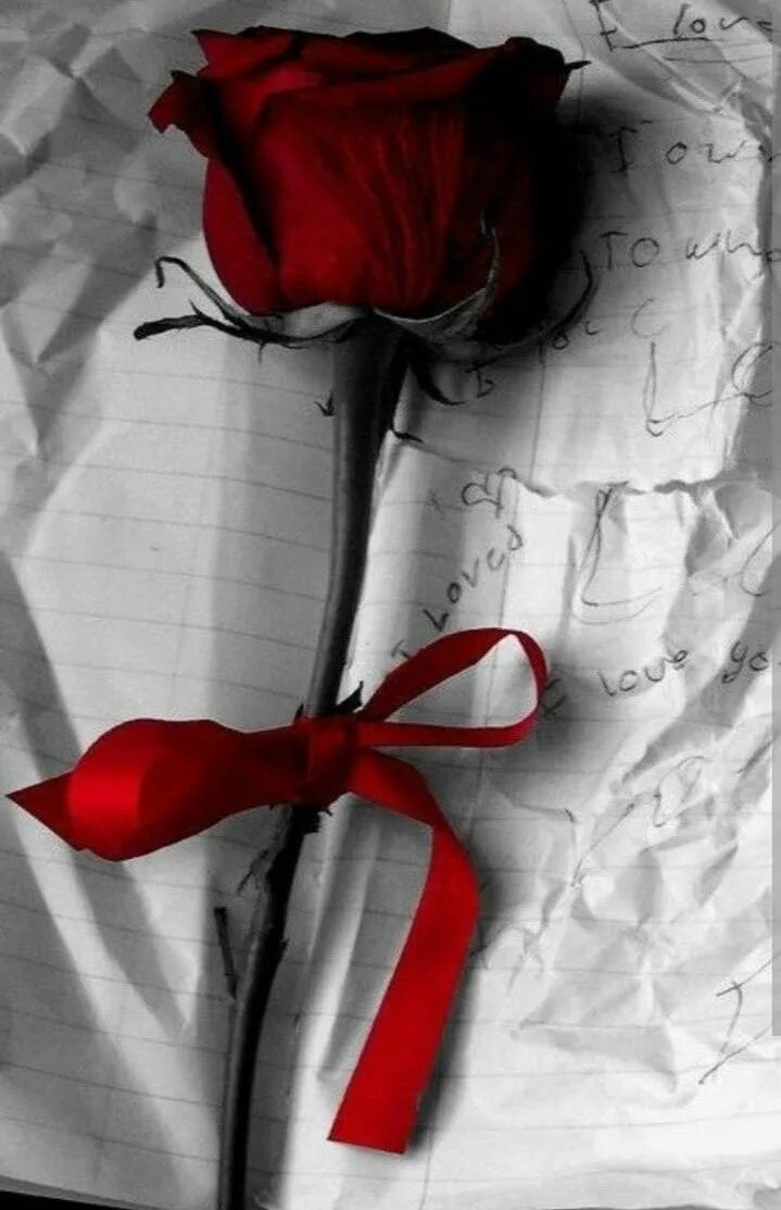 Красные розы Эстетика. Эстетика неразделенной любви. Белые и красные розы Эстетика. Картинку перевязаны