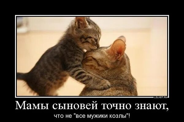 Стихотворение держись сынок автор. Все мужики козлы. все мужики козлы картинки. все мужики козлы демотиватор. держись сынок.