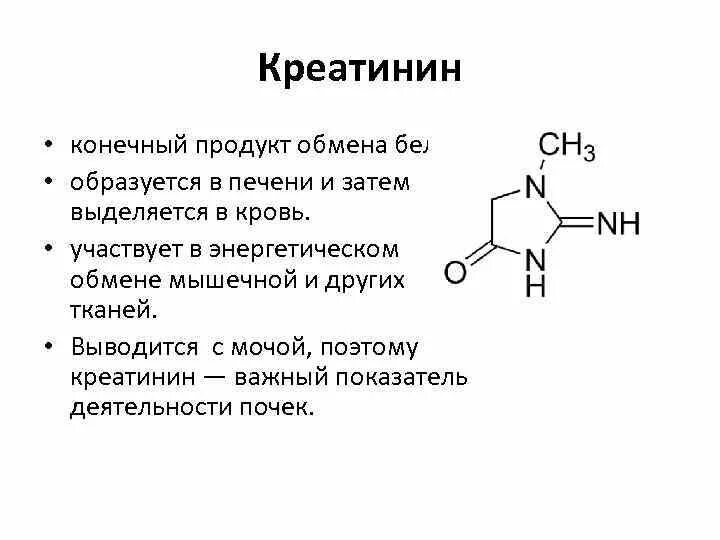 Повышение креатинина. Креатинин конечный продукт. Креатамин. Креатинин показатели. Определение креатинина в крови что это.