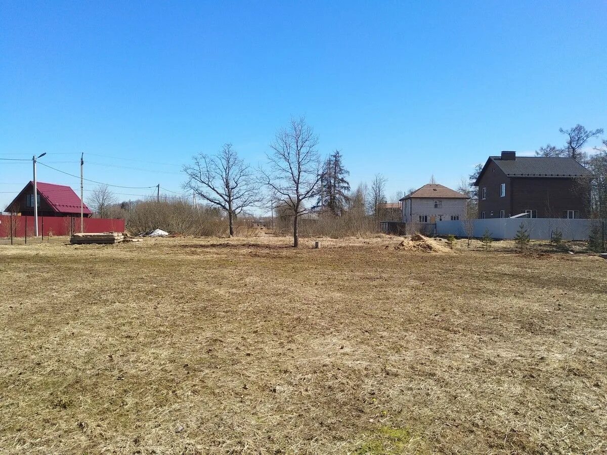 Пятницкие дачи (40 фото)