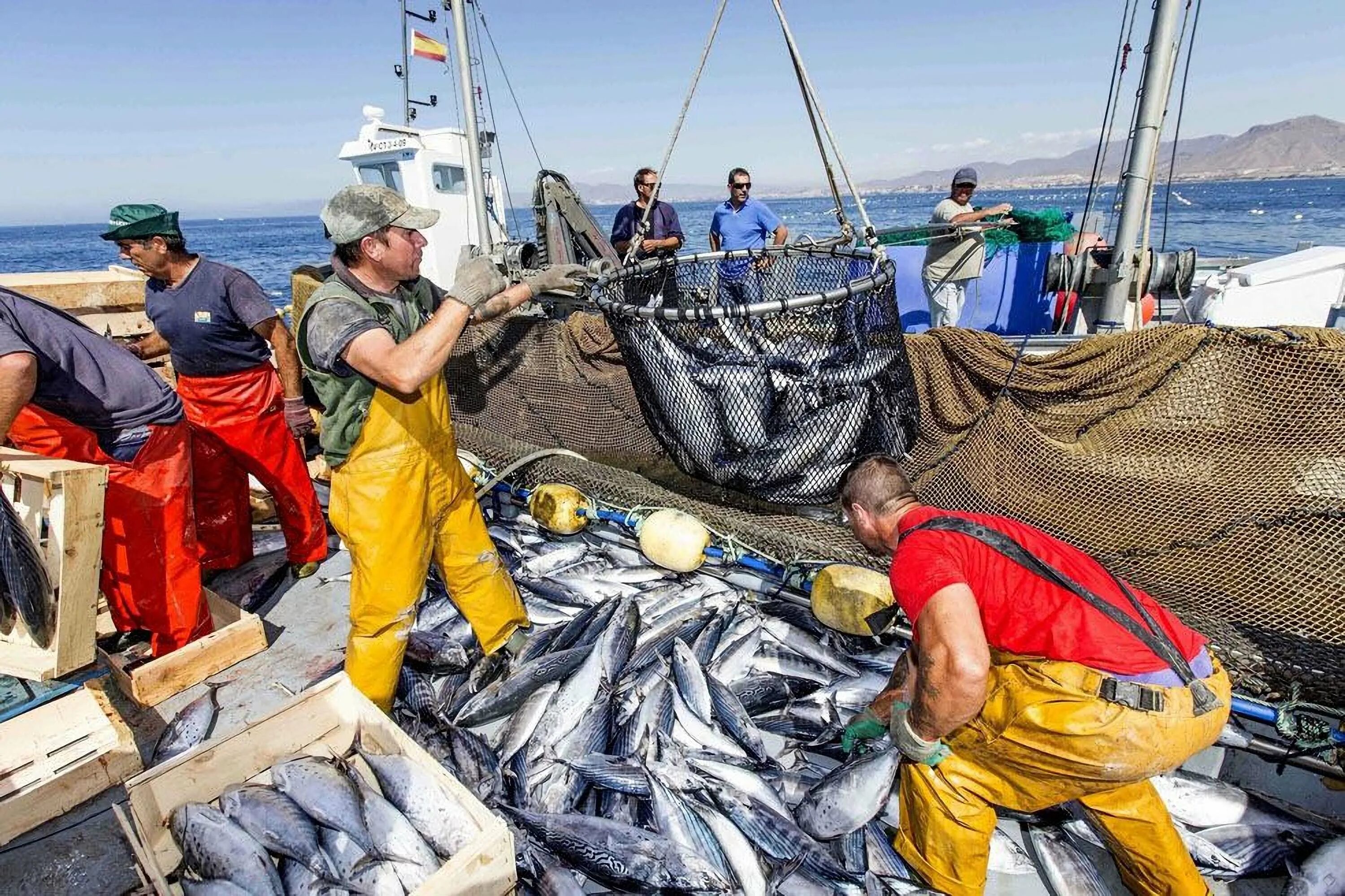 Промысел рыбы. Морское рыболовство. Рыбаки на промысле. Рыбный промысел. Мировой улов