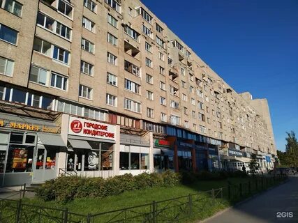 Просвещения 69 фото