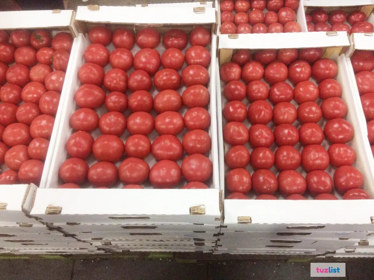 Помидоры в коробке. Помидоры в ящике. Коробки для помидоров. Помидоры в лотке.