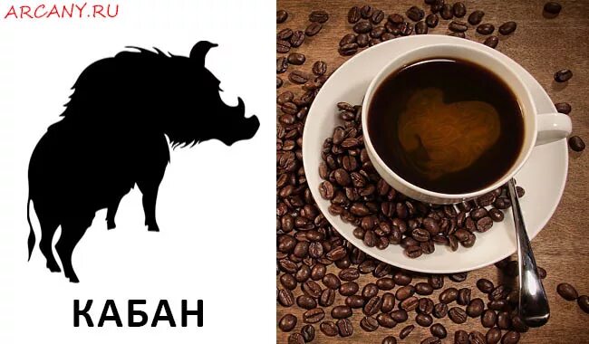 Собака на гуще. Горы на кофейной гуще. Собачка с кофе. Собака на гуще. Собака на кофейной гуще значение.