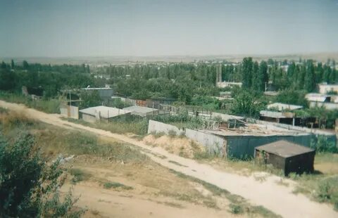 Село антиповка камышинский
