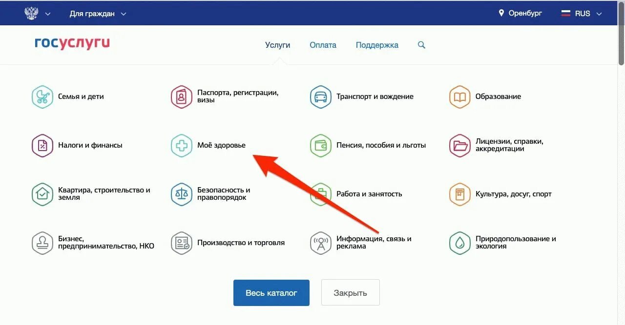 Пушкинская карта в госуслугах. Госуслуги прикрепление к поликлинике. Госуслуги прикрепление ребенка к поликлинике. Прикрепить ребенка на госуслугах. Как оформить карту в госуслугах