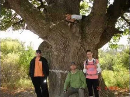 Погода в каменном броде ольховского
