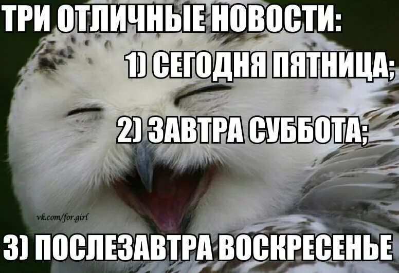 Картинки сегодня пятница а завтра выходной. Завтра суббота. две хорошие новости сегодня пятница завтра суббота. сегодня пятница а завтра суббота. пятница а завтра суббота.