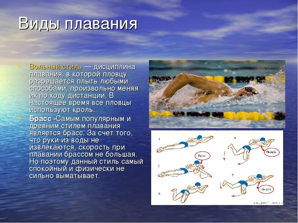 Кроль брасс Дельфин. Виды плавания стили. Плавание стили плавания. Название техник плавания.