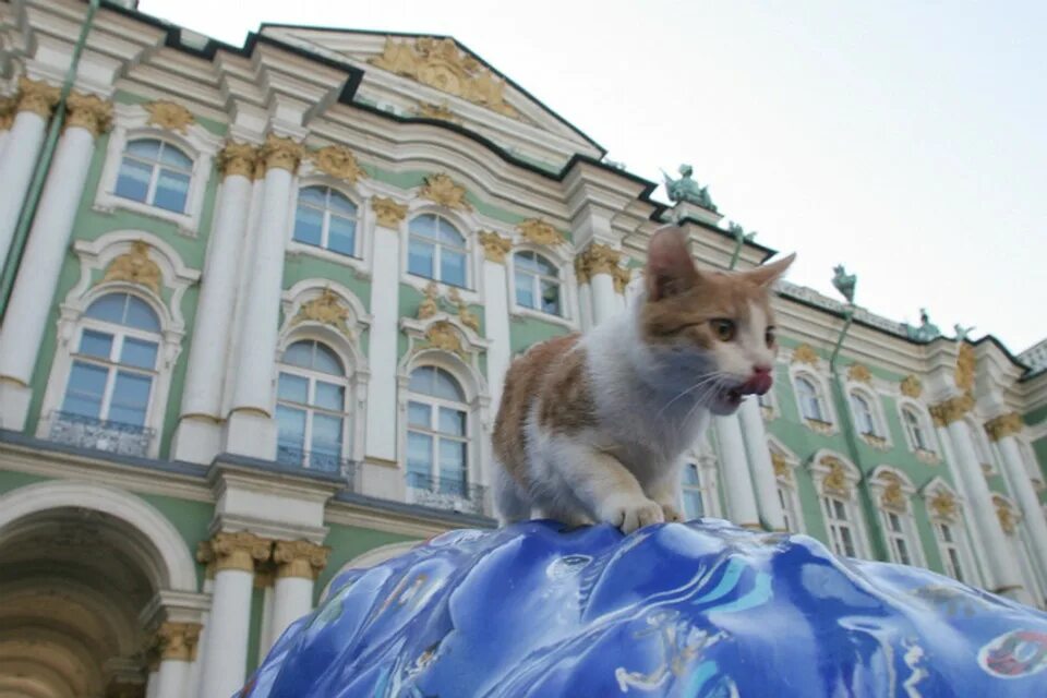 Коте эрмитаж. Эрмитаж санкт-петербург коты. эрмик эрмитажный. коты эрмитажа.