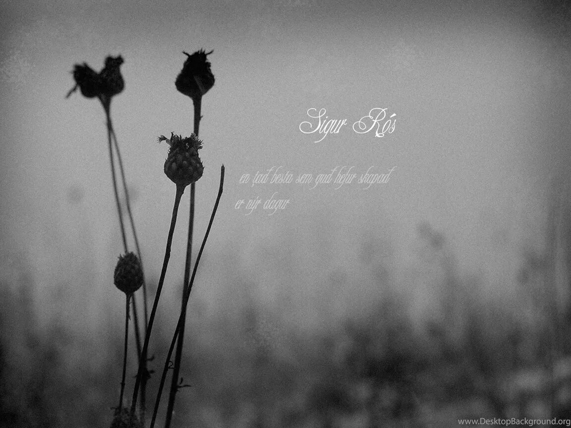 Nothing the same. Sigur Ros Wallpaper.