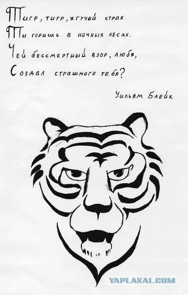 Стих про белого тигра. Тигр тигр жгучий страх. Смешные стихи про тигра. Стихи про тигра взрослые. Тигр тигр жгучий страх ты