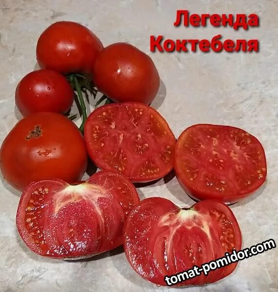 Сорта томатов коктебель. Томат легенда коктебеля партнер. помидоры легенда коктебеля. сорт помидор легенда коктебеля. томат коктебель f1.