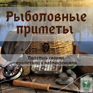 Вечером на воде играет рыба приметы
